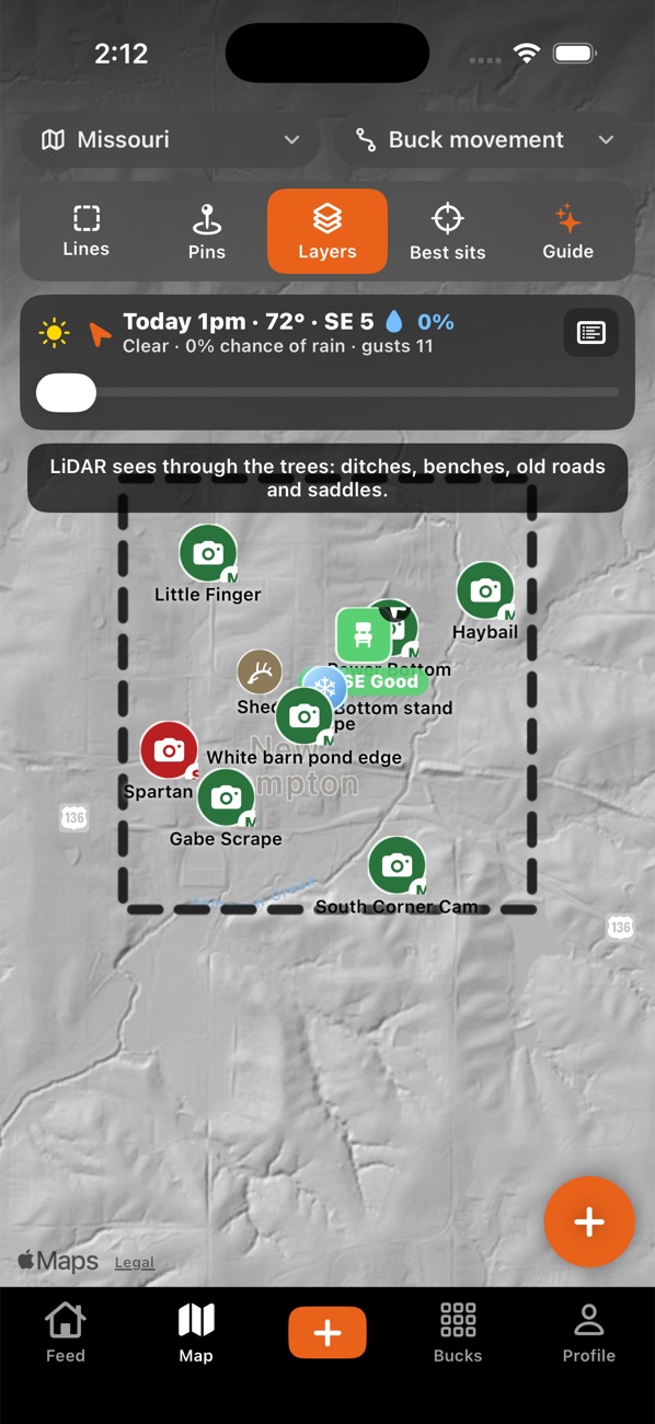 The LiDAR view: bare ground under the trees, with cameras and stands on it